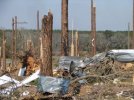 Boston-damage-trees-silo.JPG