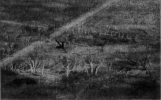 19610531GATES5.PNG