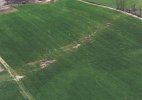 Lawrenceburg-F5-damage-scouring.JPG