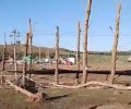IMG_20211110_010834.jpg