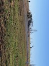 Damage_Points_SDE_image-20211212-171008.jpg