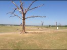 IMG_20220109_235854.jpg