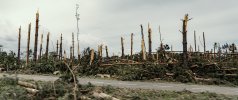 Moravia-EF4-damage-debarking2.JPG Moravia-EF4-damage-debarking2.JPG