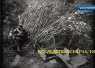 Иваново-смерч-повреждение-автомобиля2.JPG