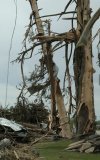 IMG_20220111_223221.jpg