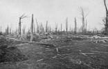 Screenshot 2022-01-29 at 15-26-50 The Central Illinois Tornado of May 26, 1917 on JSTOR.png
