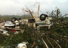 Brimfield-MA-damage-debarking.JPG