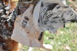 Barnesville-damage-paper-tree.JPG