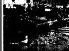 04E772B0-27D1-4E38-94B5-330B98D64A45.jpeg