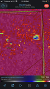 18B17C78-7AB8-42F9-8886-464D39A417E7.png
