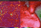 polkville 2.png