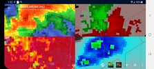 Screenshot_20220405-133224_wX.jpg