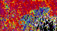 1649197395995.png