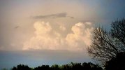 IMG_0831.jpeg
