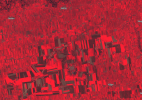Screenshot 2022-04-15 at 16-05-01 Sentinel-hub EO-Browser3.png