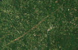 20200412BASSFIELDLAUREL.png