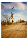 C7EC2420-F044-4DA9-975C-D7F5B1B2F3B2.png