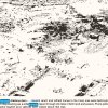 BAECD18E-B899-4791-8791-0AEE3D1672AA.jpeg