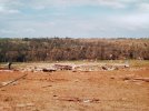 19990503MOORE11.jpg
