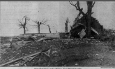 Screenshot 2022-05-13 at 19-01-32 7 Apr 1929 6 - The Minneapolis Journal at Newspapers.com.png