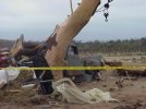 Loyal-valley-damage-debarking.JPG