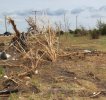 Mooredamage-vegetation.JPG