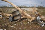 Deland-EF4-damage-debarking.JPG