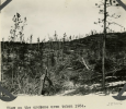 Screenshot 2022-05-17 at 18-13-59 Tornado damage to trees Custer area - BHSU - Black Hills Nat...png