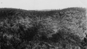 Screenshot 2022-05-17 at 18-21-40 Cyclone aftermath in Benner Gulch 1933 - BHSU - Black Hills ...png