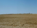 822C1FED-099F-442D-86E6-B40153C4D4F0.png