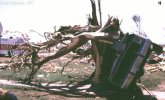 Spencer-F5-damage-debarking.JPG