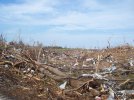 20110427HACKLEBURG71.jpg