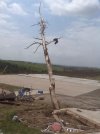 EMB30_lWoAI-Xwz.jpg