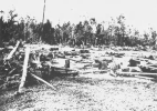 19690123HAZLEHURST21.PNG