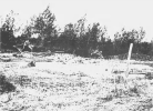 19690123HAZLEHURST22.PNG