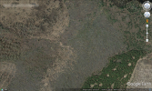 forest-county-tornado-damage.png