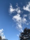 88F7BACC-C0CA-4ACF-969B-86997AA03C29.jpeg