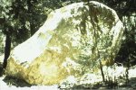 Big-bear-damage-boulder.jpg