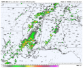 nam-nest-alms-refc-2779600.png