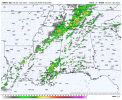 nam-nest-alms-refc-2772400 1pm.png