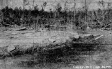 19320321CONASAUGA3.png