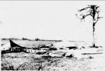 Screenshot 2023-01-19 at 18-25-54 Fig-17-The_Madison_Journal_Thu__Feb_25__1971_-768x657.jpg (J...png