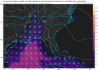gfs_cape_seus_29.png