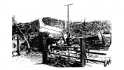 Screenshot 2023-02-02 at 14-41-32 bulahdelah_tornado_report.pdf.png