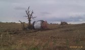 SAVE_20230209_085601.jpg