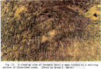 C853AAE3-1344-4FF3-B822-86BF99F721A6.png
