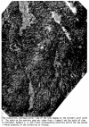 A11CA55E-E675-4592-B1FC-9BCC356CAB72.png