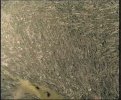 48552B70-4D37-46A2-B309-E5C10D139121.jpeg