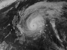 Typhoon_Mitag_2002.jpg