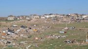 Washington-IL-damage-debarking.JPG Washington-IL-damage-debarking.JPG